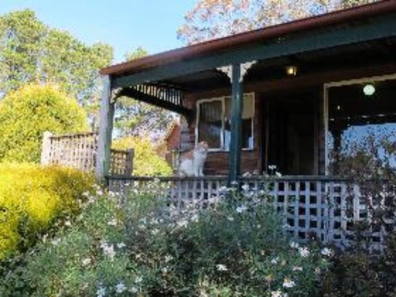 Cedar Lodge Cabins Mount Victoria Luaran gambar